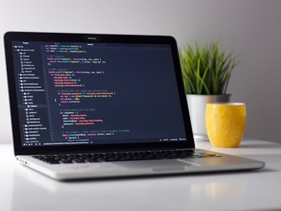 Software Development